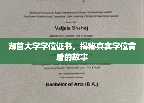 探寻湖首大学学位证书背后的传奇故事