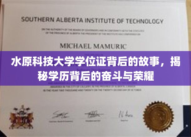 水原科技大学学位证，见证奋斗足迹的荣耀凭证
