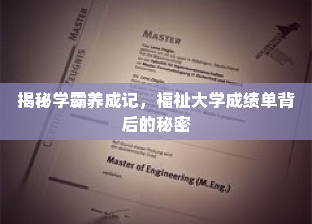 解码卓越学子之路，探秘学霸背后的高效学习秘诀