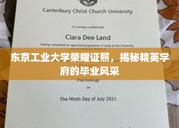 解码东京工业大学，毕业证照背后的卓越风采