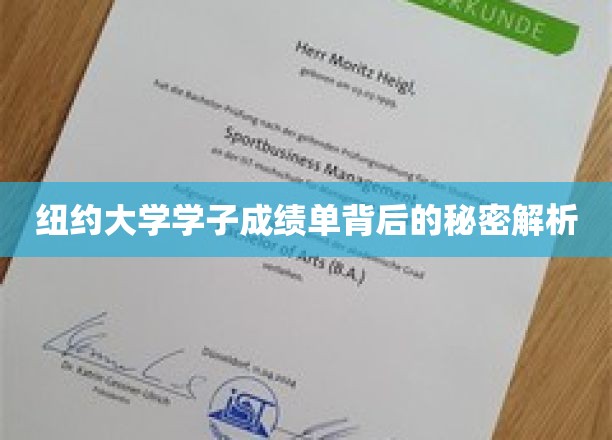 纽约大学学子成绩单背后的秘密解析