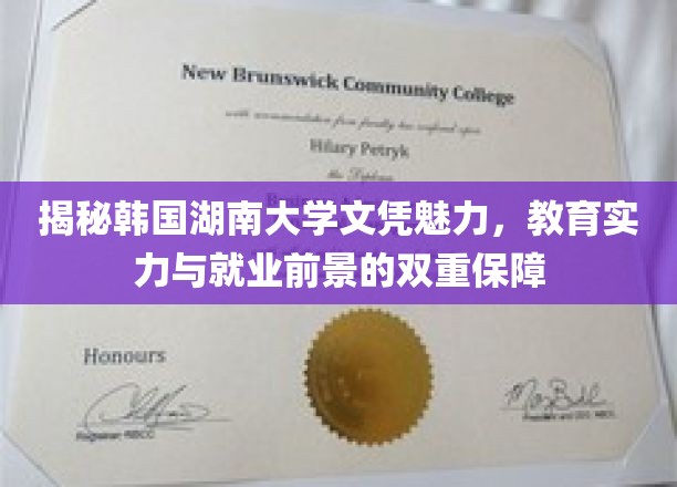 韩国湖南大学文凭的诱惑，教育品质与职场前景的双赢选择