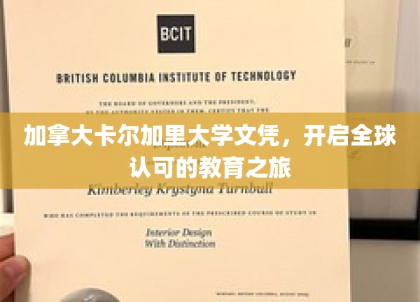 跨越国界，卡尔加里大学文凭引领国际教育新篇章