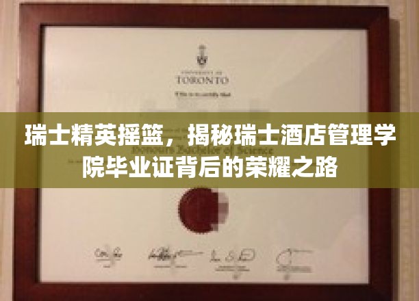 瑞士酒店管理学院毕业生，荣耀之路背后的精英蜕变