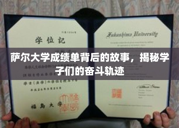 揭开萨尔大学成绩单，学子们的不凡奋斗之路