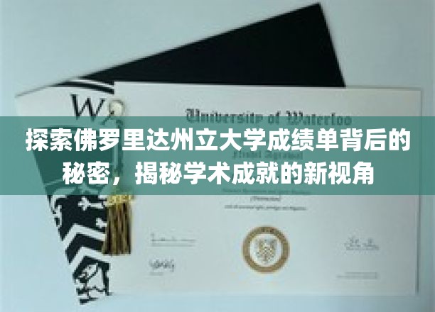 揭开佛罗里达州立大学成绩单神秘面纱，一窥学术卓越的独特视角
