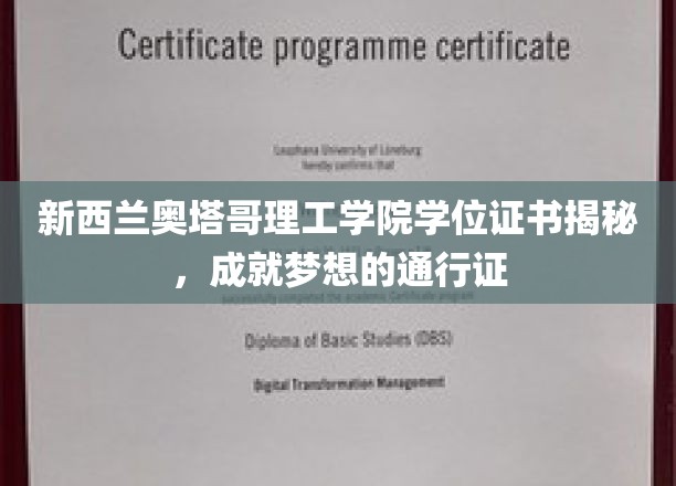 解锁奥塔哥理工学院学位证书，助力梦想起航的璀璨钥匙