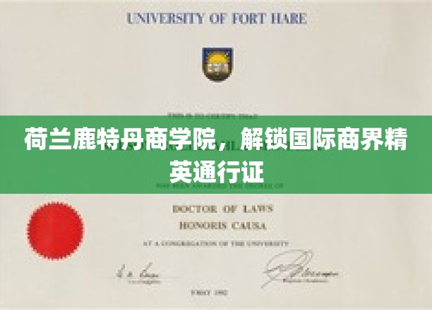 商界通行证在手，鹿特丹商学院助你国际舞台翱翔