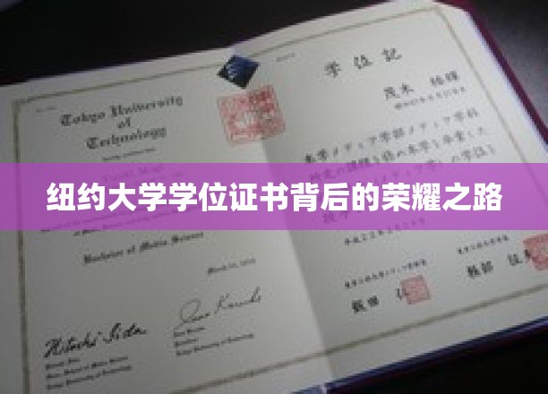 追寻纽约大学学位的光辉足迹