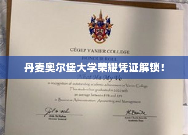 揭开丹麦奥尔堡大学荣耀证书的神秘面纱