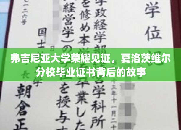 弗吉尼亚大学荣耀见证，夏洛茨维尔分校毕业证书背后的故事