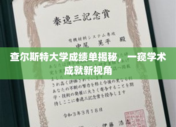 查尔斯特大学成绩单揭秘，一窥学术成就新视角
