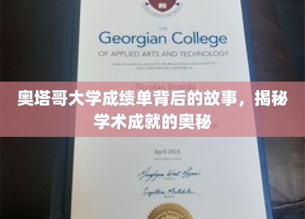 解码奥塔哥大学成绩单，探寻学术辉煌的幕后秘籍