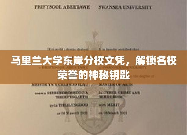 马里兰大学东岸分校文凭，揭开名校荣耀背后的非凡钥匙