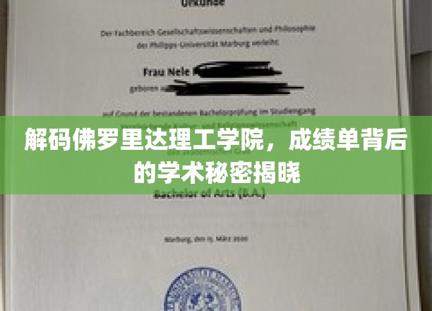 揭秘佛罗里达理工学院：成绩单背后的学术奥秘