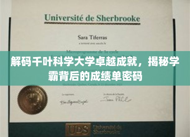 解码千叶科学大学卓越成就，揭秘学霸背后的成绩单密码