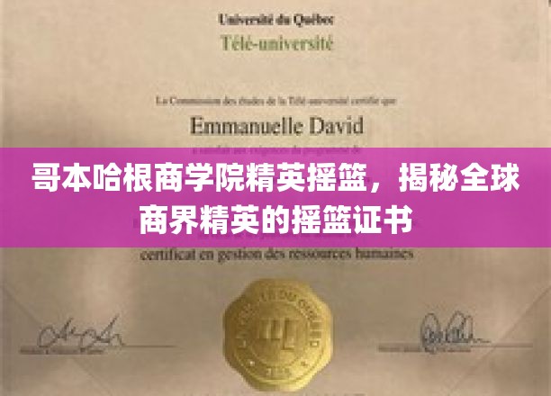 解码哥本哈根商学院，培养未来商业领袖的神秘文凭之路