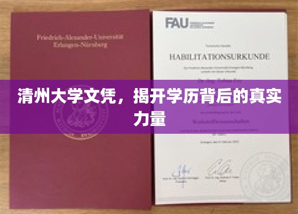 学历之光，清州大学文凭背后的不凡影响力