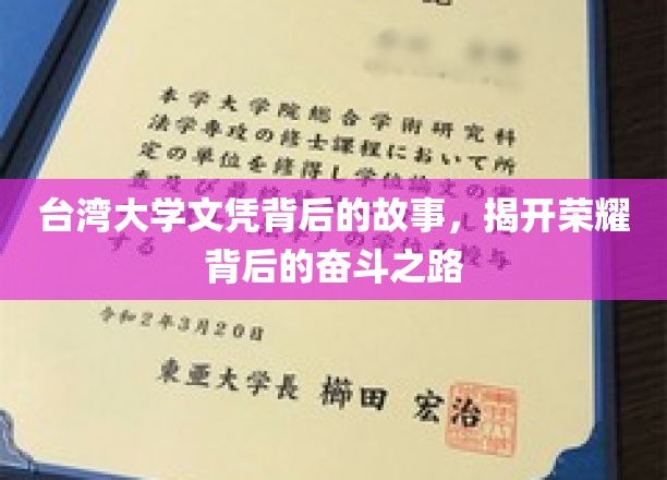 台湾大学文凭背后的故事，揭秘荣耀背后的奋斗之路