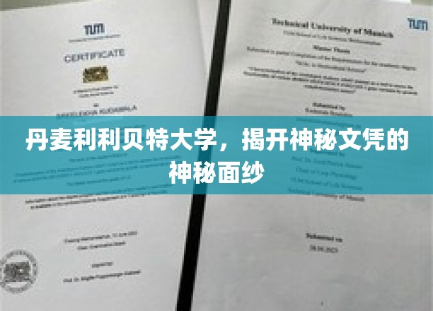 丹麦利利贝特大学，揭开神秘文凭的神秘面纱
