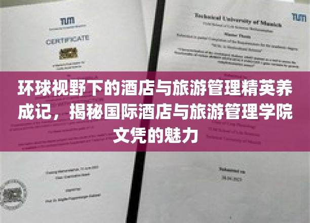 跨越国界，解码国际酒店与旅游管理精英之路，文凭背后的全球视野与职业价值