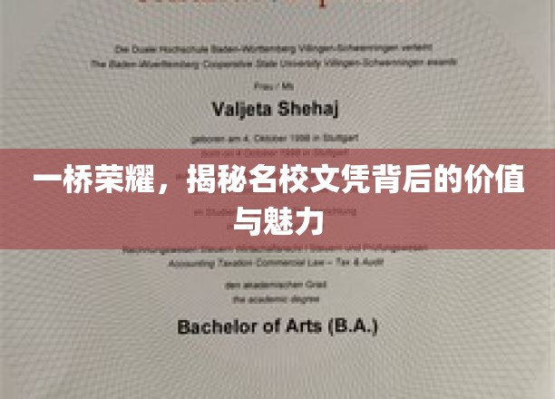 名校文凭的魅力，一桥连荣耀，价值何在？