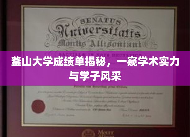 探寻釜山大学成绩单背后的学术实力与青春风采