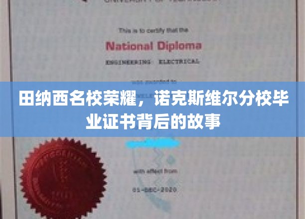 田纳西名校荣耀，诺克斯维尔分校毕业证书背后的故事