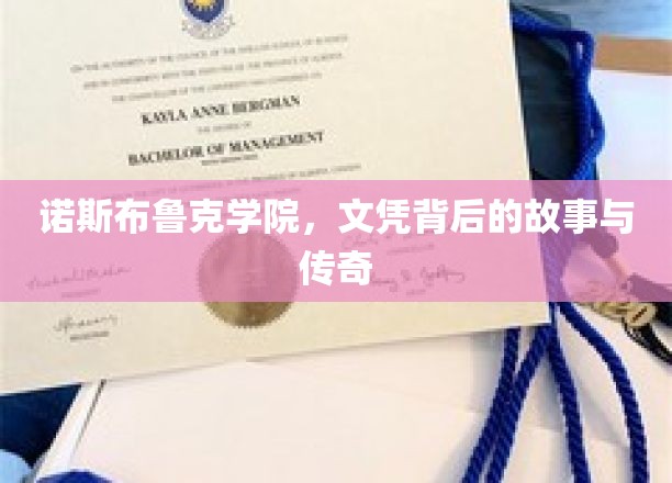 诺斯布鲁克风云录，揭秘文凭背后的传奇故事