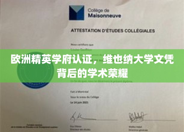 维也纳大学，欧洲精英学府盖章，成就非凡学术荣耀之旅