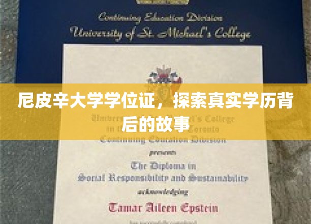 揭秘尼皮辛大学学历之谜，背后隐藏的真相揭晓
