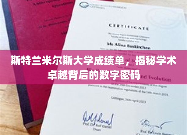 解码斯特兰米尔斯大学，揭开卓越学术背后的成绩单秘密