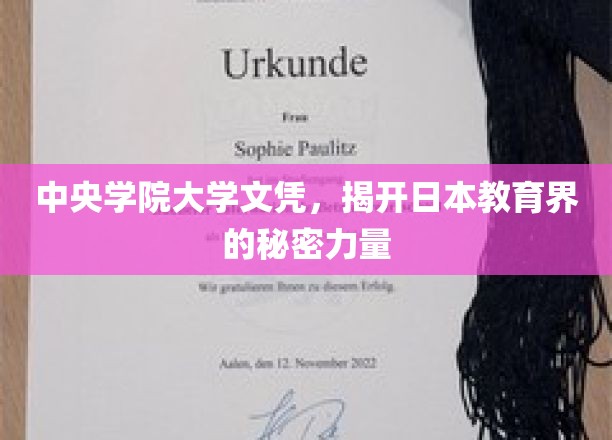 中央学院大学文凭，解码日本教育界的神秘力量源泉
