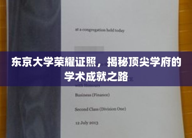 东京大学荣耀证书，揭秘顶尖学府的学术成就之路