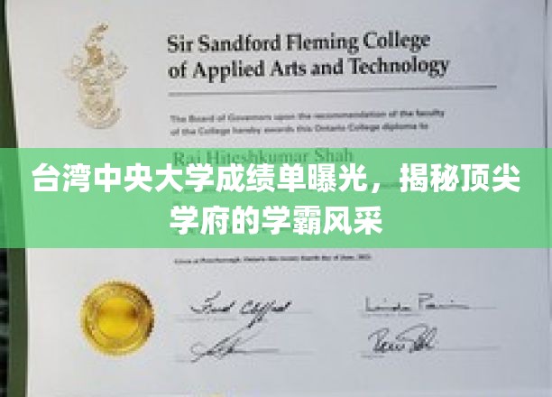 台中大揭秘，一窥顶尖学府学霸们的卓越风采
