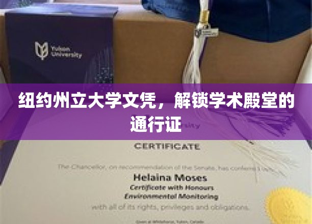 纽约州立大学文凭，开启学术之门，成就未来辉煌