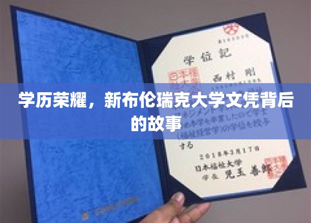 学历荣耀，新布伦瑞克大学文凭背后的故事