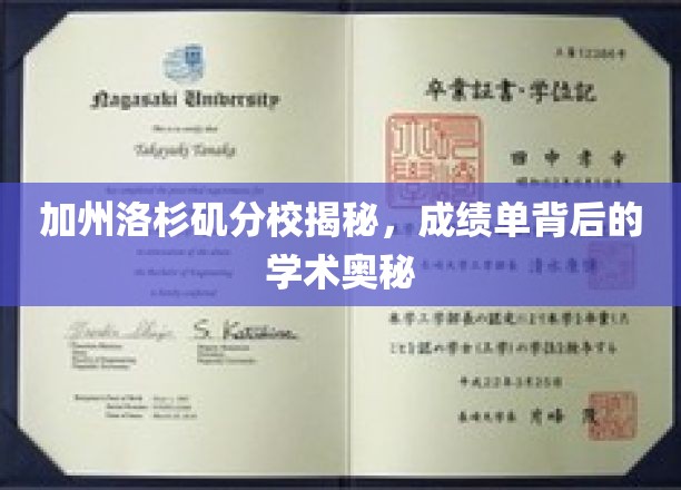 解码加州洛杉矶分校，成绩单里的学术世界探秘