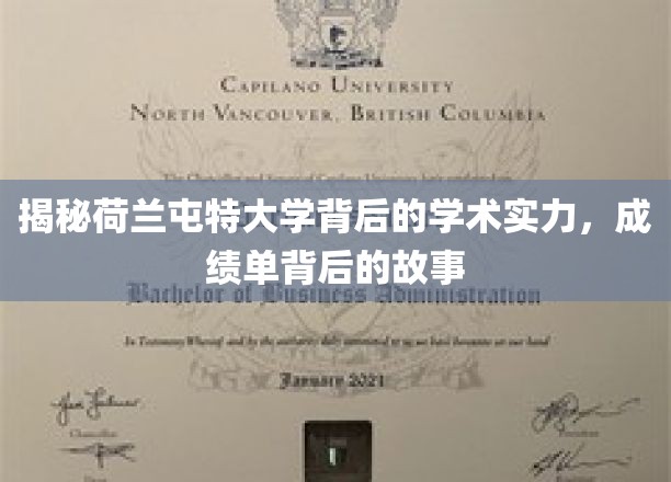 荷兰屯特大学，揭秘学术殿堂背后的辉煌与历程