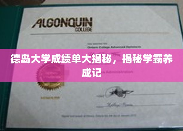 德岛学霸养成记，揭秘德大成绩单背后的秘密学习之路