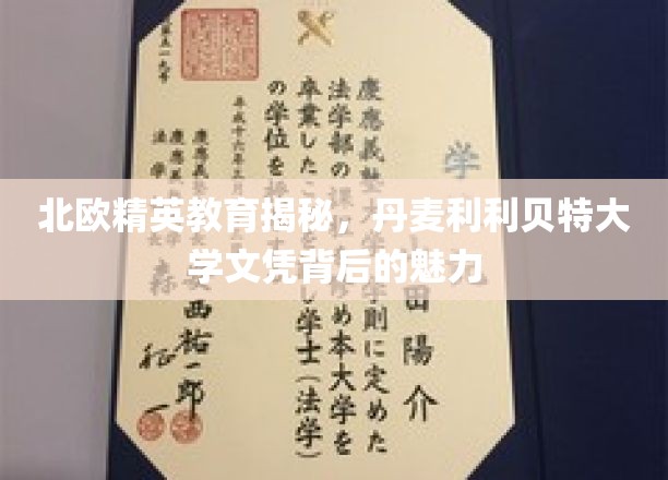 解码北欧精英教育，丹麦利利贝特大学文凭的独特吸引力