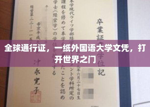 全球通行证，一纸外国语大学文凭，打开世界之门