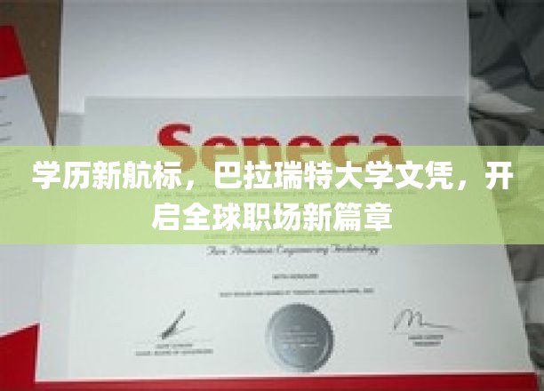 巴拉瑞特大学学历，引领国际职场新航向