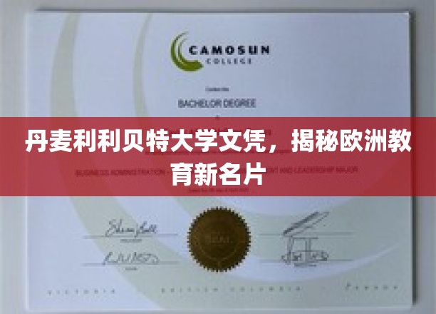 欧洲教育新宠，揭秘丹麦利利贝特大学的独特魅力