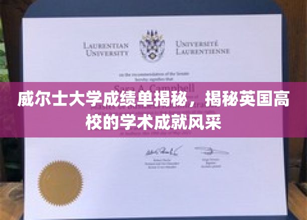英国威尔士大学，解码卓越学术成就的秘密殿堂