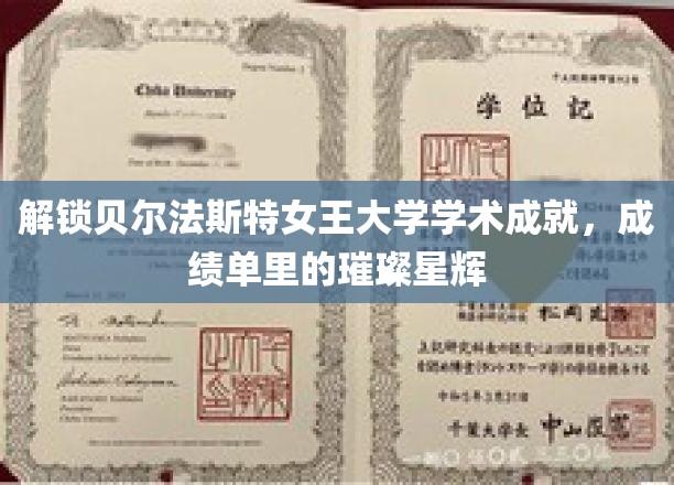 解锁贝尔法斯特女王大学学术成就，成绩单里的璀璨星辉