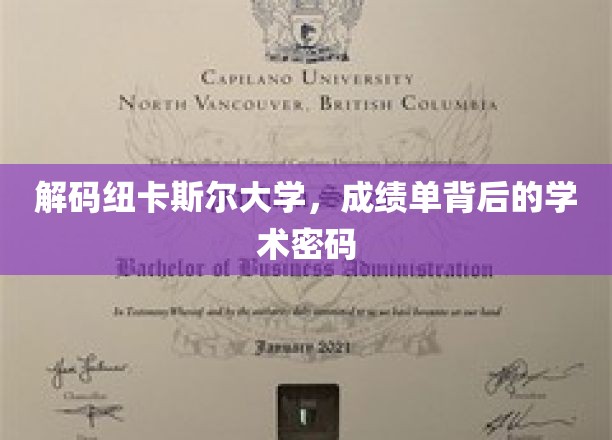 解码纽卡斯尔大学，成绩单背后的学术密码