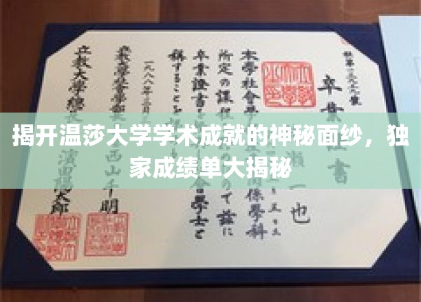 揭开温莎大学学术成就的神秘面纱，独家成绩单大揭秘