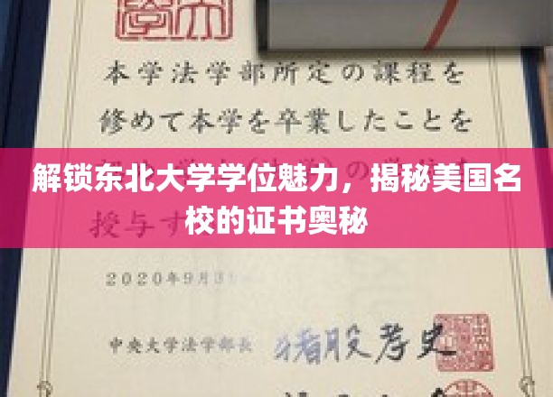 东北名校魅力揭秘，探寻美国学位证书的神秘面纱