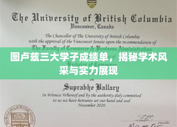 图卢兹三大学子成绩斐然，尽显学术实力与风采之光